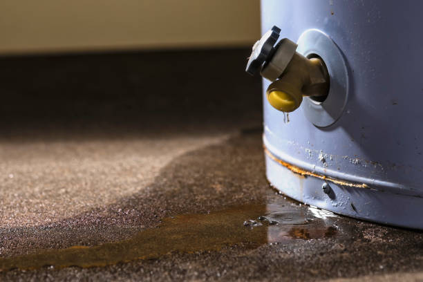 Professional Water damage restoration in Rock Creek, AL