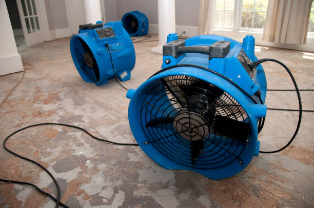 Best Commercial water damage restoration  in Rock Creek, AL