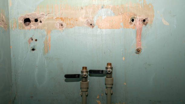 Best Carpet water damage restoration  in Rock Creek, AL