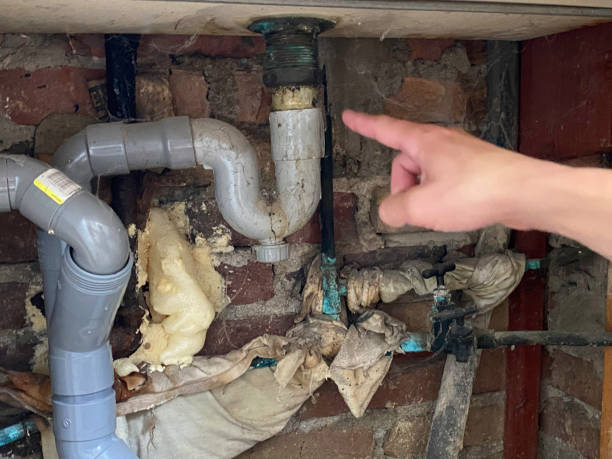 Best Fire Damage Restoration  in Rock Creek, AL