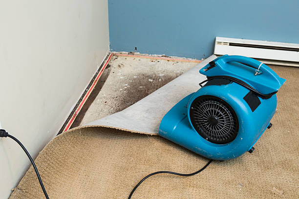 Best Water damage restoration near me  in Rock Creek, AL